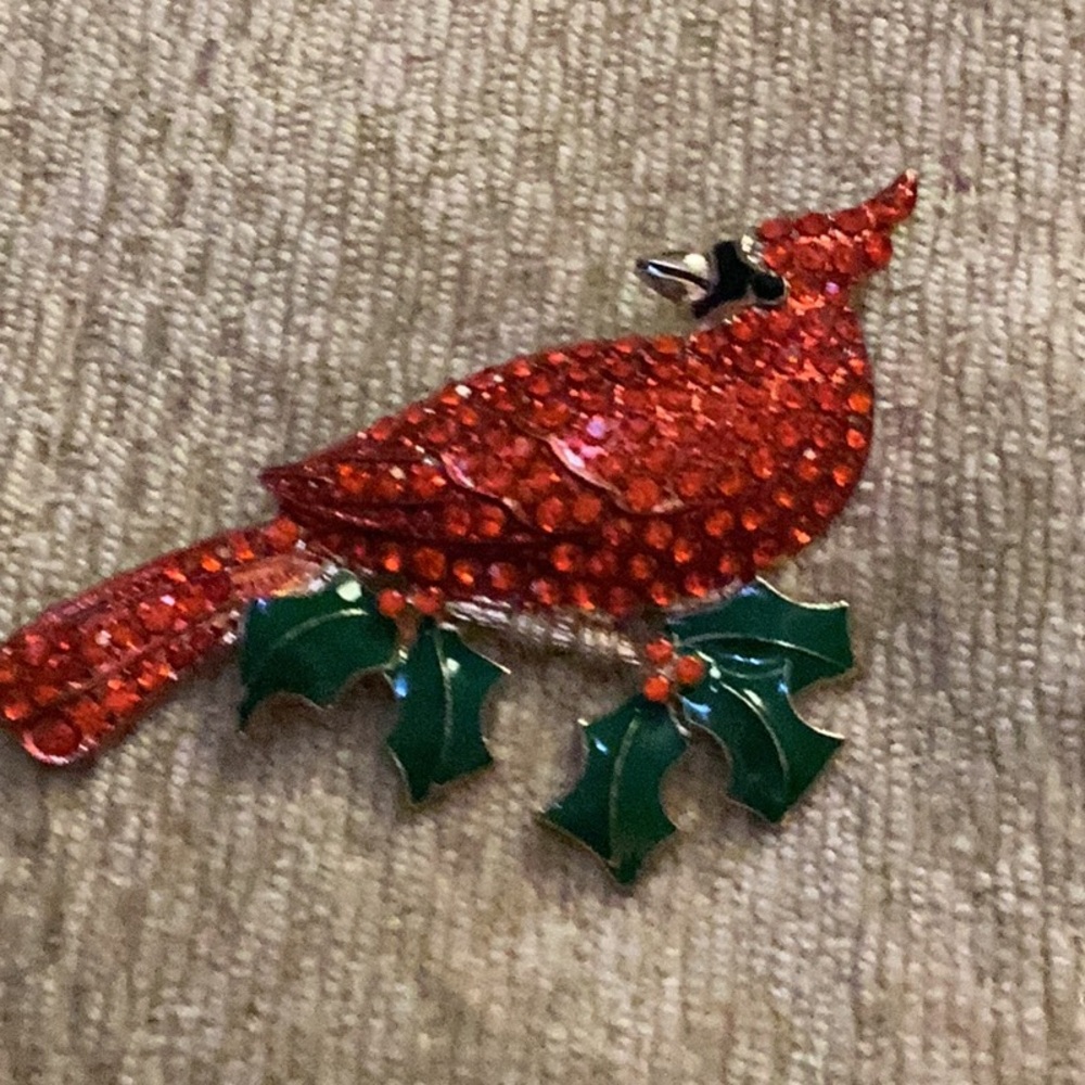 ❤️NWT Gorgeous Red Cardinal Rhinestone
Giant Brooch ❤️ - Picture 6 of 6